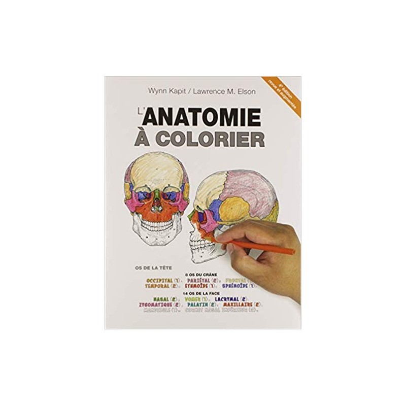 Livre à colorier d'Anatomie (4ème édition)  Livres, chartes et réflexologie