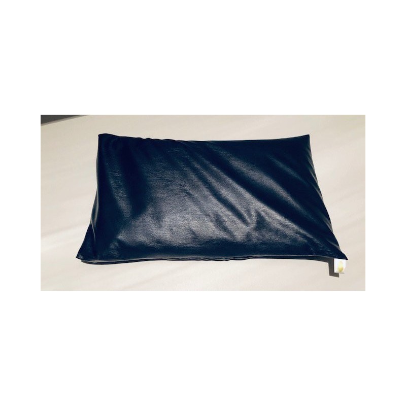 Taies d'oreiller en vinyle imperméable Allez Housses Magasiner tout - Produits Massage Boutik