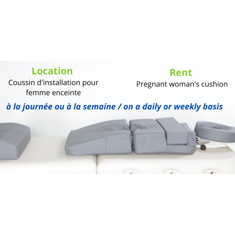 Rental - Pregnancy Cushion  Leasing