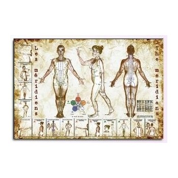 Chart - The Meridians  Shop by category - Massage Boutik Products