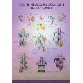 Charte - Points Gachettes (Trigger Points) 1 & 2  Magasiner tout - Produits Massage Boutik