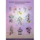 Charte - Points Gachettes (Trigger Points) 1 & 2  Magasiner tout - Produits Massage Boutik