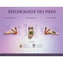 Charte - Réflexologie des Pieds (recto-verso)  Magasiner tout - Produits Massage Boutik