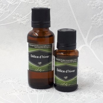Winter Treat (Délice d'Hiver) - Diffuser Blend Aliksir Ambience