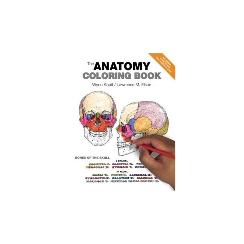 Livre d'Anatomie à colorier (version anglaise)  Magasiner tout - Produits Massage Boutik