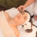 Porcelain Lava Shells® Natural Cowrie LavaShell Massage Shells