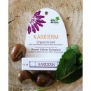 Organic Lip Balm - Mint