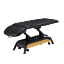 ProLift 2 Treatment Table